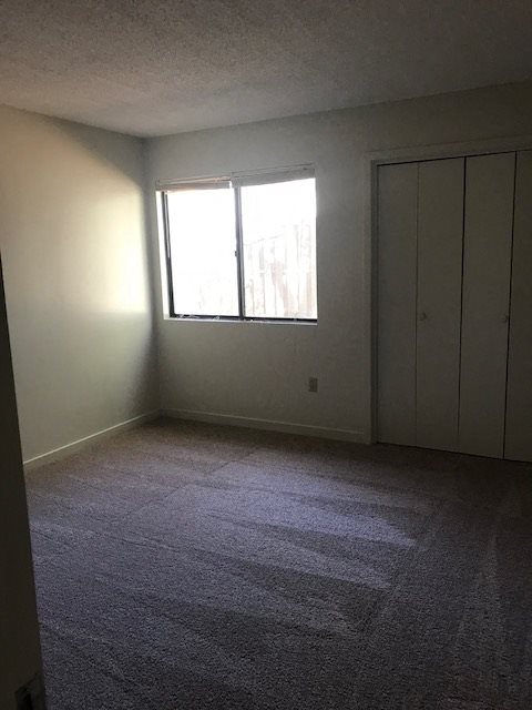 Gallery Photo 4